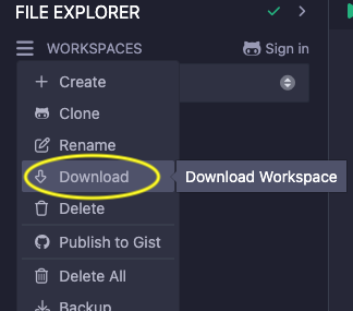 Download workspace